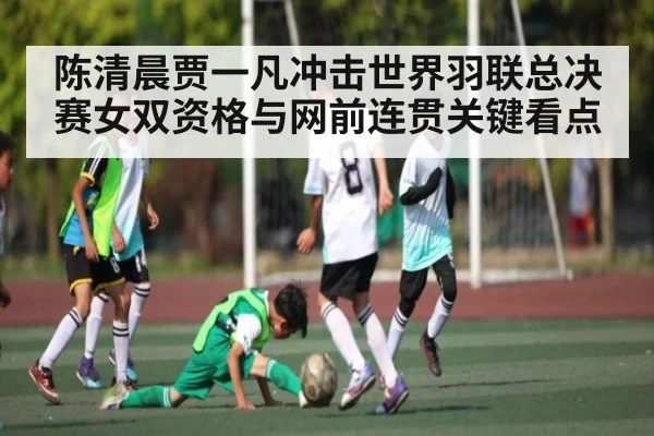 陈清晨贾一凡冲击世界羽联总决赛女双资格与网前连贯关键看点