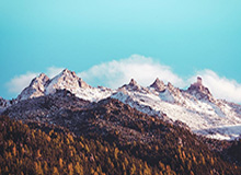 伤了？姆巴佩突然做手势请求被换下，贡萨洛·加西亚替补登场